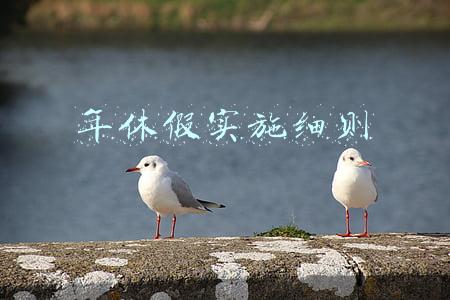 年休假实施细则
