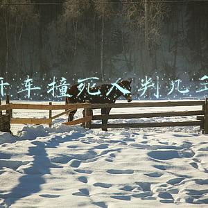 开车撞死人判几年