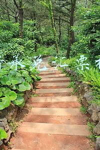 银行承兑汇票样本