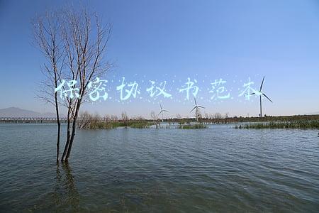 保密协议书范本