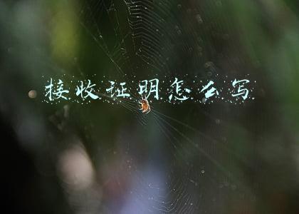 接收证明怎么写