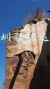 深圳社保退保