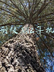 死刑缓期2年执行