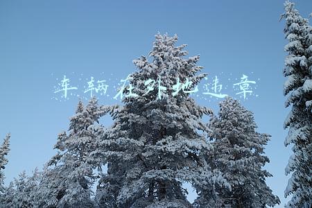 车辆在外地违章,能不能在车辆所在地处理(违章可以全国处理吗 跨省 省内异地违章怎么处理)