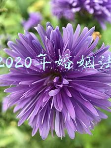 2020年婚姻法婚前房产婚后加名字(婚前购买的房屋婚后可加上配偶名字)