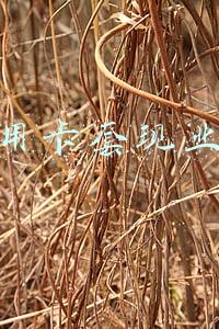 信用卡套现业务