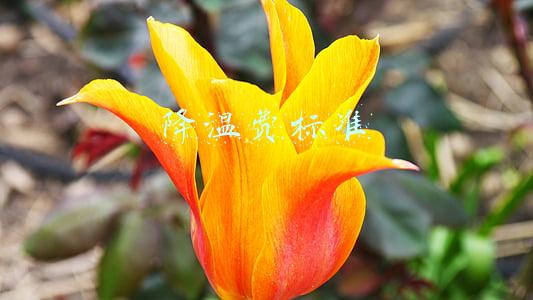 降温费标准