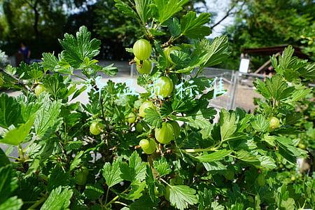 降温费标准2018每月多少钱(涨钱了！最高每月涨100元)