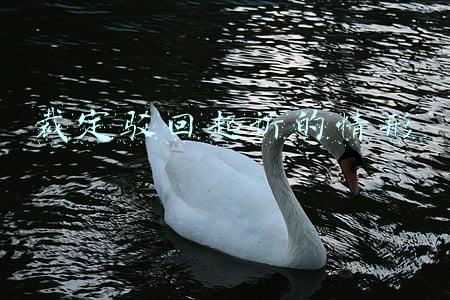 裁定驳回起诉的情形 法条(从最高法判例看“裁定驳回起诉”和“判决驳回诉讼请求”的适用)