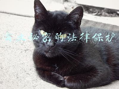 商业秘密的法律保护