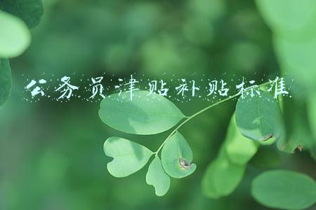公务员津贴补贴标准