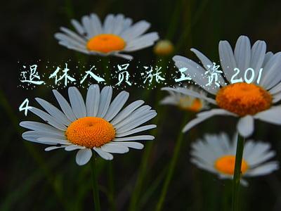 退休人员涨工资2014