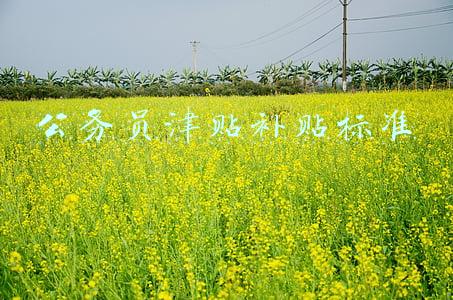 公务员津贴补贴标准