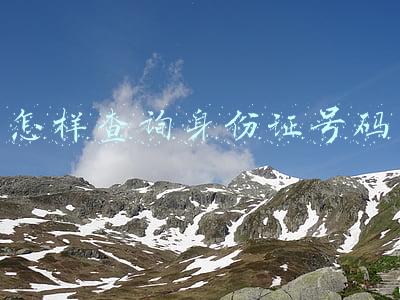 怎样查询身份证号码