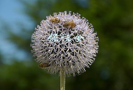 保证金