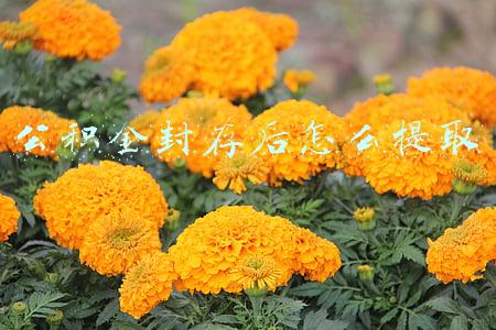 公积金封存后怎么提取