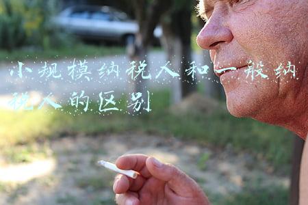 小规模纳税人和一般纳税人的区别