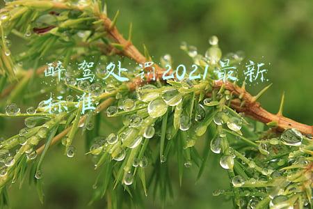 醉驾处罚2021最新标准