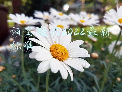 酒驾处罚2022最新标准