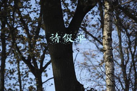 请假单