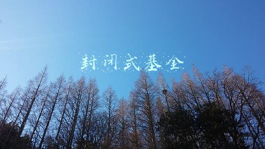 封闭式基金和开放式基金的区别(基金入门――开放式基金和封闭式基金的区别)