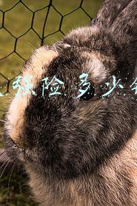 交强险多少钱