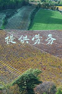 提供劳务