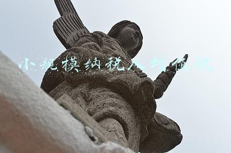 小规模纳税人增值税