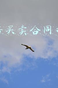 商品房买卖合同司法解释