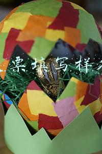 支票填写样本