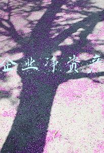 企业净资产增长率怎么算(高新技术企业申报财务成长性计算方法)