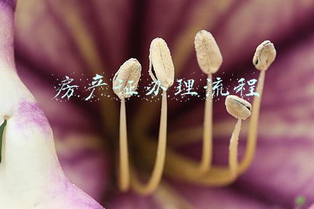 一手房房产证办理流程(买一手房什么时候去办证比较好？)