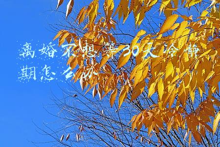 离婚不想等30天冷静期怎么办