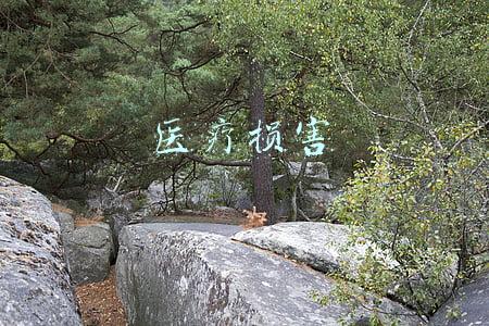 医疗损害