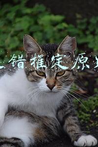 过错推定原则