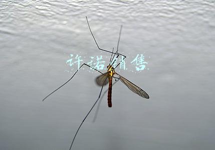 什么是许诺销售(许诺销售是否侵犯商标权 与销售有什么区别)