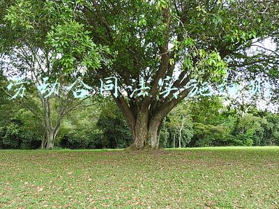 劳动合同法实施细则