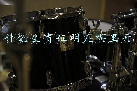 计划生育证明在哪里开