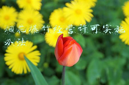 湖南省烟花爆竹经营许可实施办法(冷水滩率先在全市完成烟花爆竹零售经营布点工作)