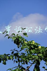 民事诉讼法学