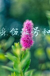 成人身份证号和姓名
