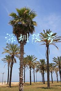 深圳限号