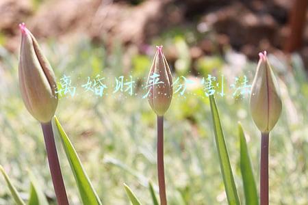 离婚财产分割法