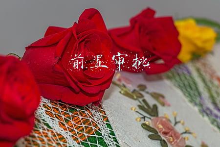 前置审批文件(哪些行业申请备案时需要提供前置或专项审批文件)