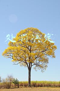 处罚决定