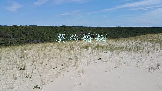 契约婚姻