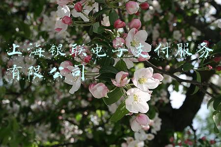 上海银联电子支付服务有限公司