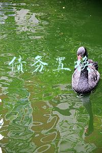 政府存量债务置换(全国存量地方债置换基本完成 累计节约利息1.7万亿元)