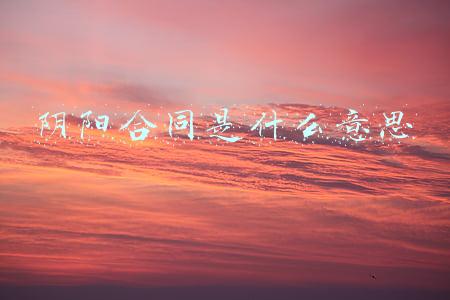建设工程阴阳合同是什么意思(「建设工程」阴阳合同均无效，按实际履行的合同进行工程结算)