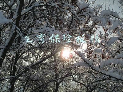 生育保险报销
